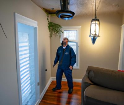 Best Pest Control Dallas