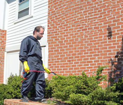 Pest Control Fairfax Va