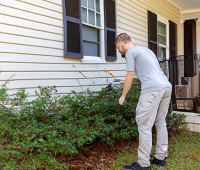 Pest Control Ocala Florida