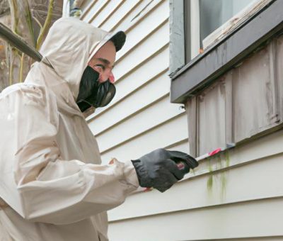 Pest Control Providence Ri